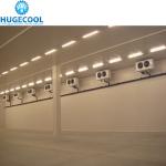 Logistics Cold Storage Freezer Cold Room Project for Warehouse