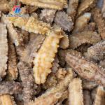 180KG Small automatic ginger washing machine Cassava peeling machine sweet
