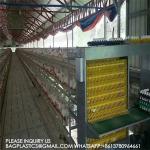 Layer Cages 3 Rows 3 Tiers 4 Tiers A Type Layer Cage Automatic Layer Cage Egg