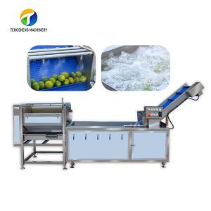 China Citrus Stalk Eliminated Lemon Processing Machinery Industrial Air Bubble Brush factory