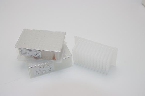 Lab IVD Viral Nucleic Acid Extraction Kit 9-18 Minutes ISO9001 For DNA RNA