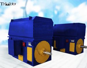 China Large Scale 300r/Min TMW Brushless Synchronous Motor 10 KV IEC GB factory