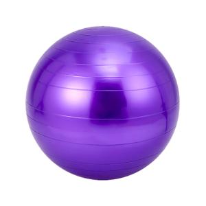 China PVC 65CM Exercise Stability Ball Balance Training Eco Friendly Exercise Yoga factory