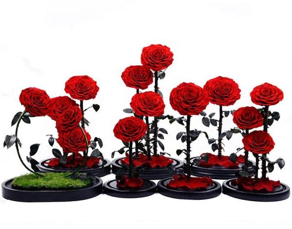 Preserved Everlasting Real Rose Flower in Glass Dome Preserved Flowers Christmas