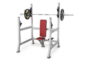China Professional Gym Rack And Bench , Vertical Chest Press Weight Lifting Equipment factory