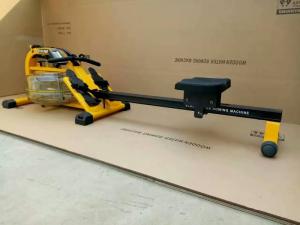 China custom water rower/bumbalbee color rower machine factory