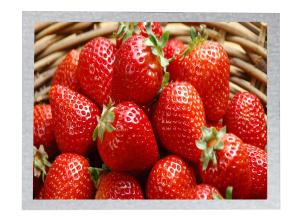 China SVGA Industrial TFT lcd display screen EJ080NA-05B CHIMEI INNOLUX 8.0 Inch 800x600 Dots factory