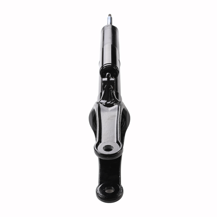 Germany Auto Parts Air Suspension System 2513200730 Air Suspension Strut