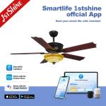 Low Noise Energy Saving Classical 5 Blades Ceiling Fan Engineering Model For