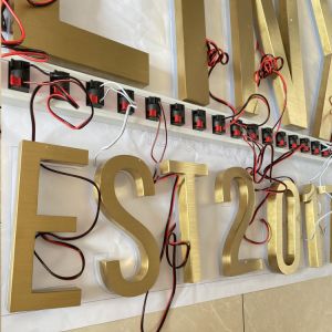 Gold Brush SS Illuminated Channel Letters Logo Sign Highspan