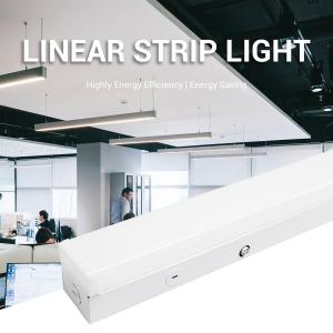 China Eye Catching LED Indoor Light with Frosted/Clear PVC Cover and RGB Color Changing Display factory