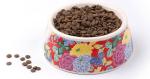 Non Slip Plastic Feeding Dishes No Spill Pet Dog Cat Double Food Water Bowl For
