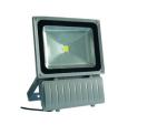 Warm White Cool White High Power Led Flood Lights Outdoor Lighting 100w