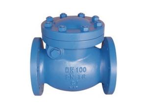 China 4 Holes X 4 Inch Swing Gate Check Valve , Swing Type Non Return Valve For Oil factory
