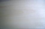 High Grade Birch Wood Veneer Polishing One-Sided Decoration With Rotary Cut
