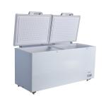 Energy Deep Freezer for Supermarket Vegetables and Meats Storage Customized