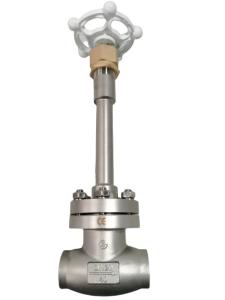 China High Pressure CF3 CF8 Cryogenic Globe Valve factory
