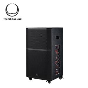 China 12 Inch Trolley Portable Speaker With Wheels Wifi Loudspeaker factory