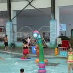 Customized Aqua Park Equipment Aqua Play, Fiberglass, PVC Sunflower Spray Icon