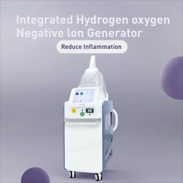 China 220V Hydrogen Oxygen Negative Ion Generator Reduce Fatigue WEIZI factory