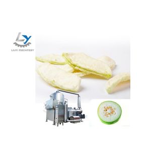 Winter Melon Vacuum Frying Machine Vegetable Fryer Machine Automated Operation