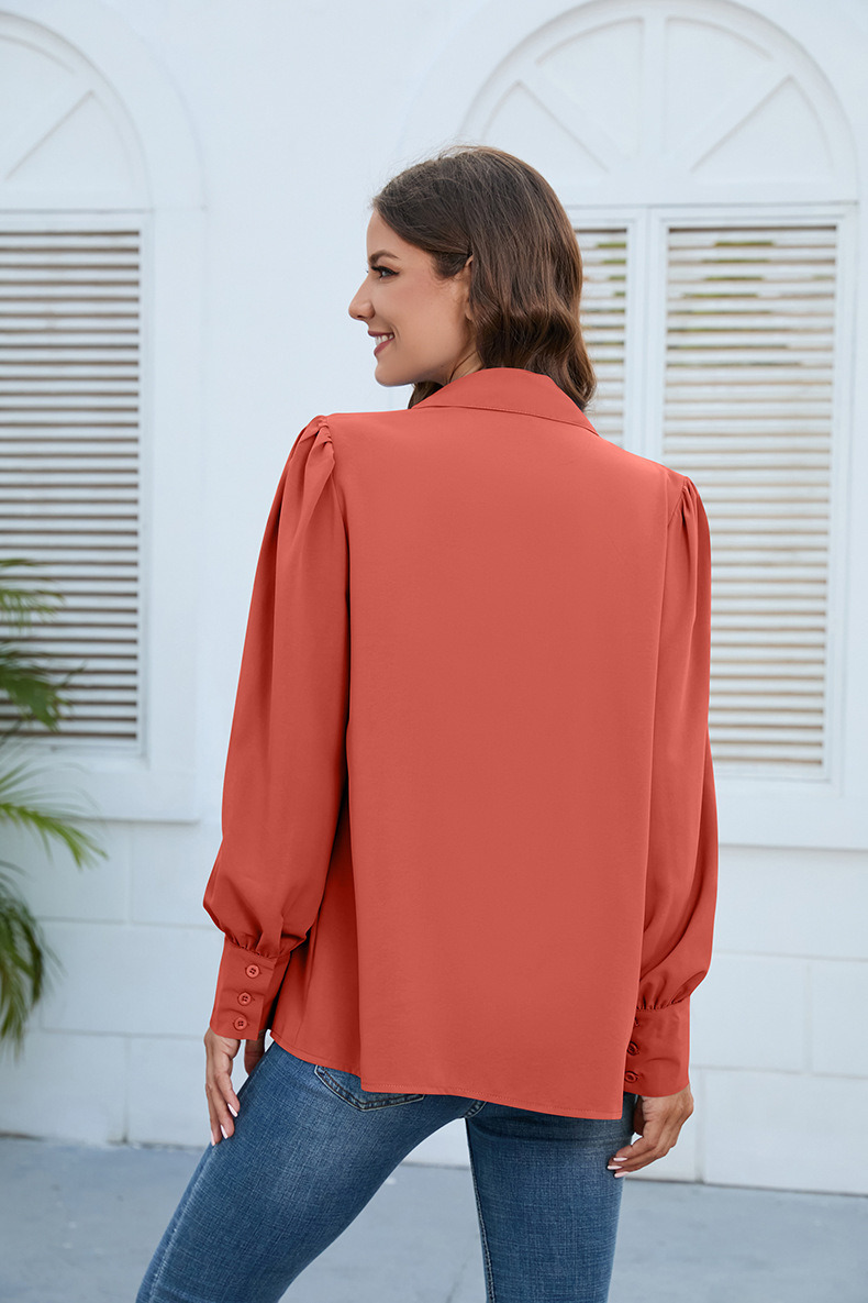 2023 European and American Women&prime;s Spring and Autumn New Chiffon Shirt Women&prime;s Shirt Ruffle Long Sleeve Top Female