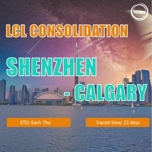 China Reliable China Freight LCL Consolidation Service / Shipping Container Price factory