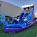 Commercial Inflatable Kids Big Blow Up Waterslide Palm Tree Backyard Water Slide