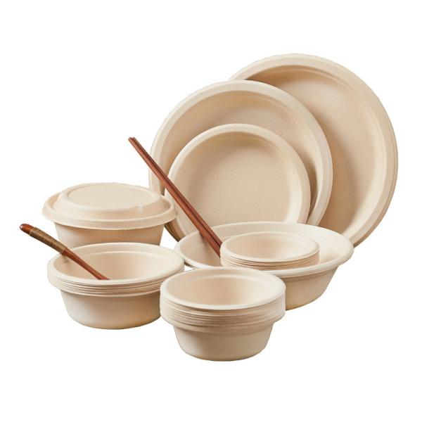 China 100% Biodegradable Disposable Soup Bowls With Lids 12oz 18oz 24oz factory