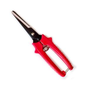 China Multi-Tasking Small Garden Pruning Snips Straight Florist Scissors Shears factory