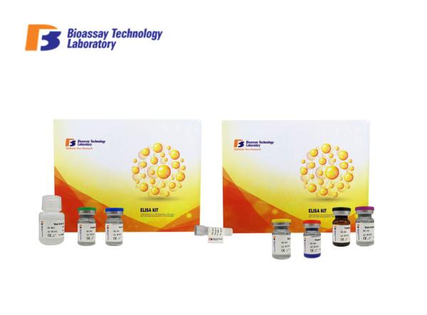 96 Wells Human SHBG Sandwich Immunosorbent Assay Kit Highly Sensitive With Oem