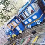 Oval Shape Tourist Train Rides , Scenic Train Rides For Toddlers