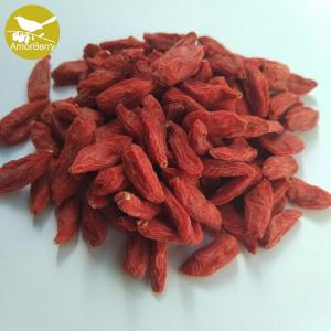 China Factory supply different types no addition organic dried goji berries with cheap price Organic Natural Dried Goji berry factory