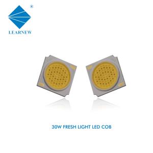 China 30W 9000-12000K LED COB CHIPS HIGH CRI RICH COLOR LED COB CHIP FOR BEEF factory