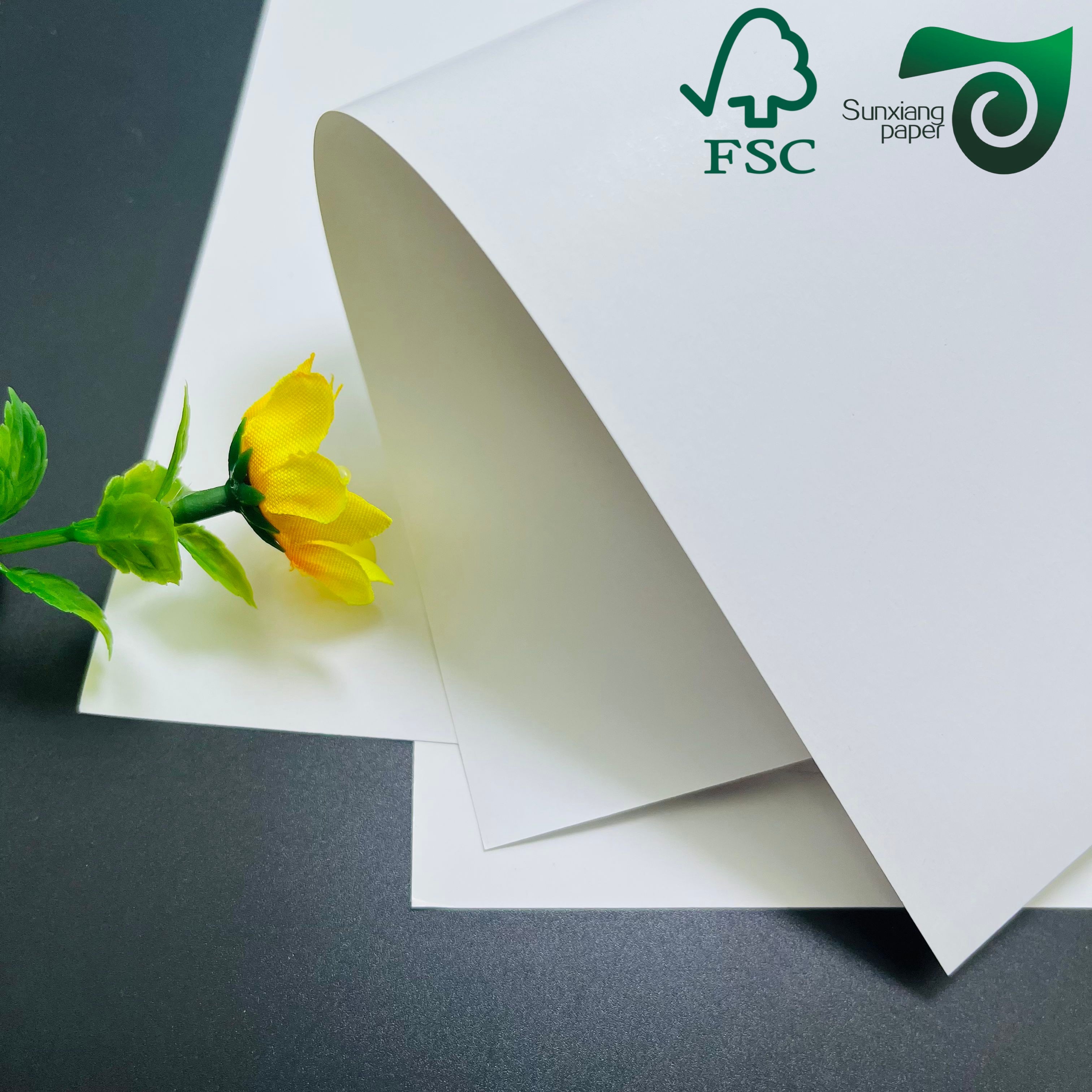 FSC Certified High Printability Double Sided Coated Glossy Cover Paper 460mm 650mm