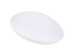 Thick Metal Chassis Ceiling Mounted LED Lights 24W 32W Bedroom Bathroom