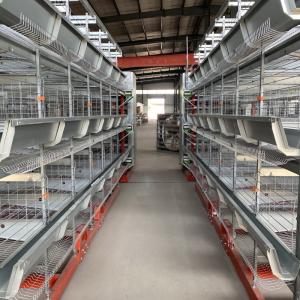 China Galvanized Poultry Layer Chickens Cage For Farm Battery Cages For Poultry Chicken Layer factory