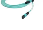 144core Mpo Fiber Patch Cord , OM3 OM4 Mpo Trunk Cable