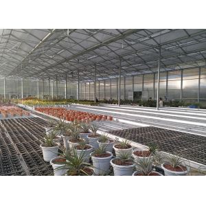 Polycarbonate Greenhouse Sheet with Customized Length and 9.6 Meter Tunnel Width