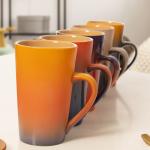 FDA Ceramic And Elegant Drinkware Cups BPA Free For Home & Restaurant