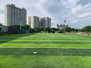 China Artificial Grass Custom Football Outdoor Sports Football Soccer Grass 60mm factory