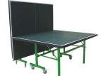 Popular Junior Ping Pong Table For School , Single Folding Black Table Tennis