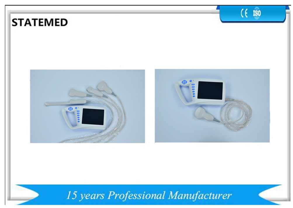 M Mode Portable Veterinary Ultrasound Machine Probe Automatic Identification
