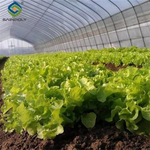 China Sainpoly Commercial Hydroponic Greenhouse For Plant Growing Lettuce factory
