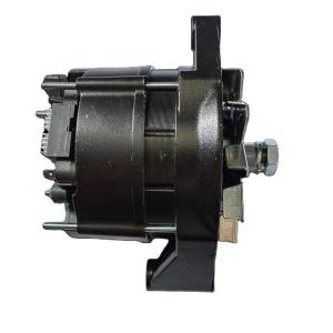 China 45-2589 45-2697 Thermo King 452697 Alternator 65a 12v Refrigerated Car Generator Thermo King Slxi / Sb / T-Series factory