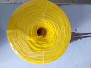 China 2mm Polyprolylene Pp Twine 400m/Kg 1600m Banana And Fishing factory