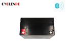 Lightweight RV Bluetooth Lithium Battery Fast Charge / Discharge With Bluetooth