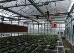 Farm Tempered Glass Greenhouse Hollow Insulated Building Facade High Strength