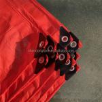 Waterproof and Tear Resistant Pe Tarpaulin 20x30 30x50 40x60 Sizes for Multiple