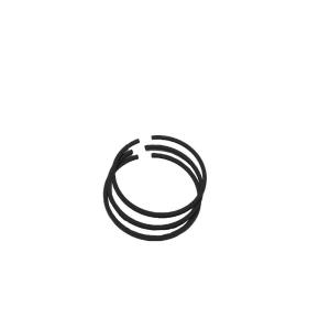 China JTP Engine Piston Rings For Truck 4DR1 Temperature Piston Ring &amp; Piston 30317-11011 factory